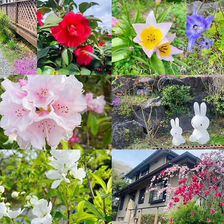 貸別荘花摘里　伊豆高原 Futo ภายนอก รูปภาพ
