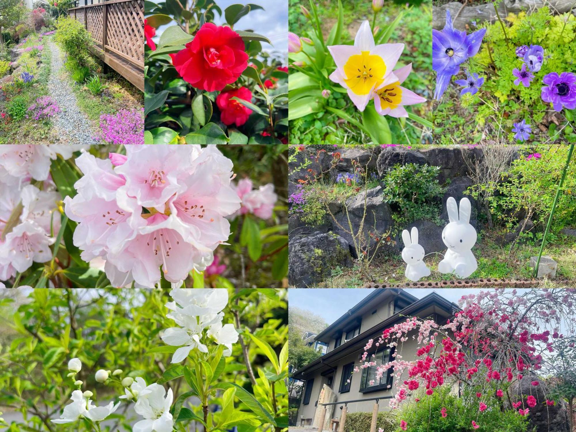 貸別荘花摘里　伊豆高原 Futo ภายนอก รูปภาพ